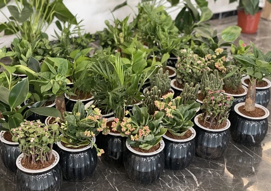 8ccf92320ef1592795c1f7d8abf92466.jpg 8ccf92320ef1592795c1f7d8abf92466.jpg